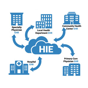 Net New system implementation